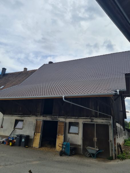 Sanierung eines Kuhsatlls